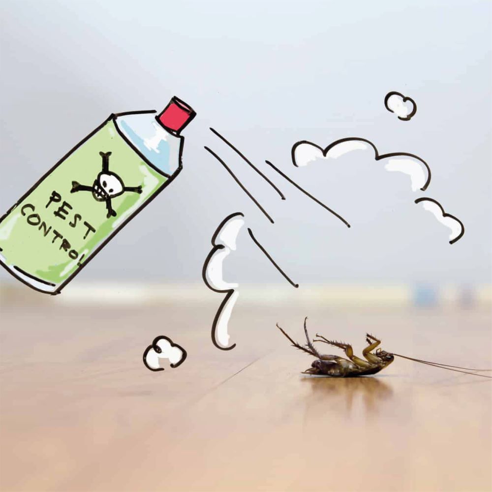 مكافحات الحشرات